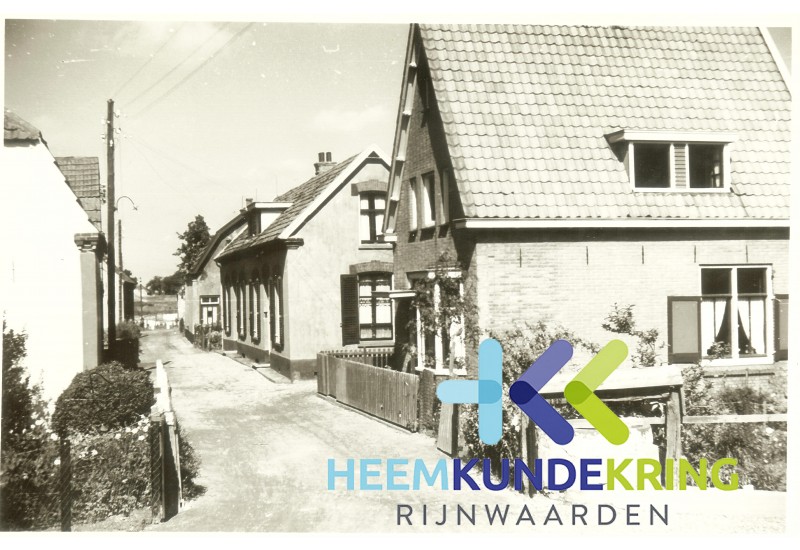 1949-50 99